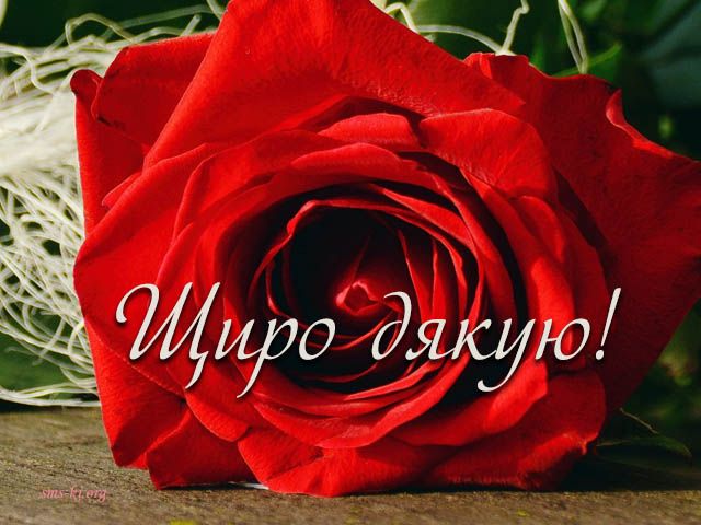 Подякувати за привітання з днем народження до сліз