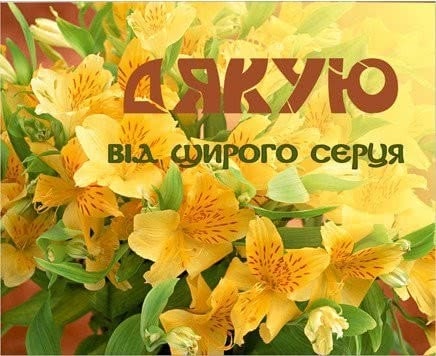 Слова дякую за привітання з днем народження своїми словами
