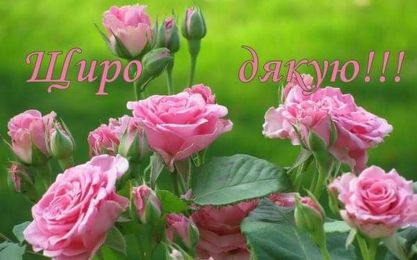 Слова дякую за привітання з днем народження своїми словами
