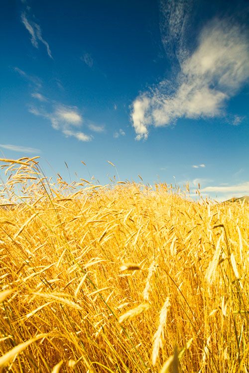 Привітання з Днем захисника України своїми словами