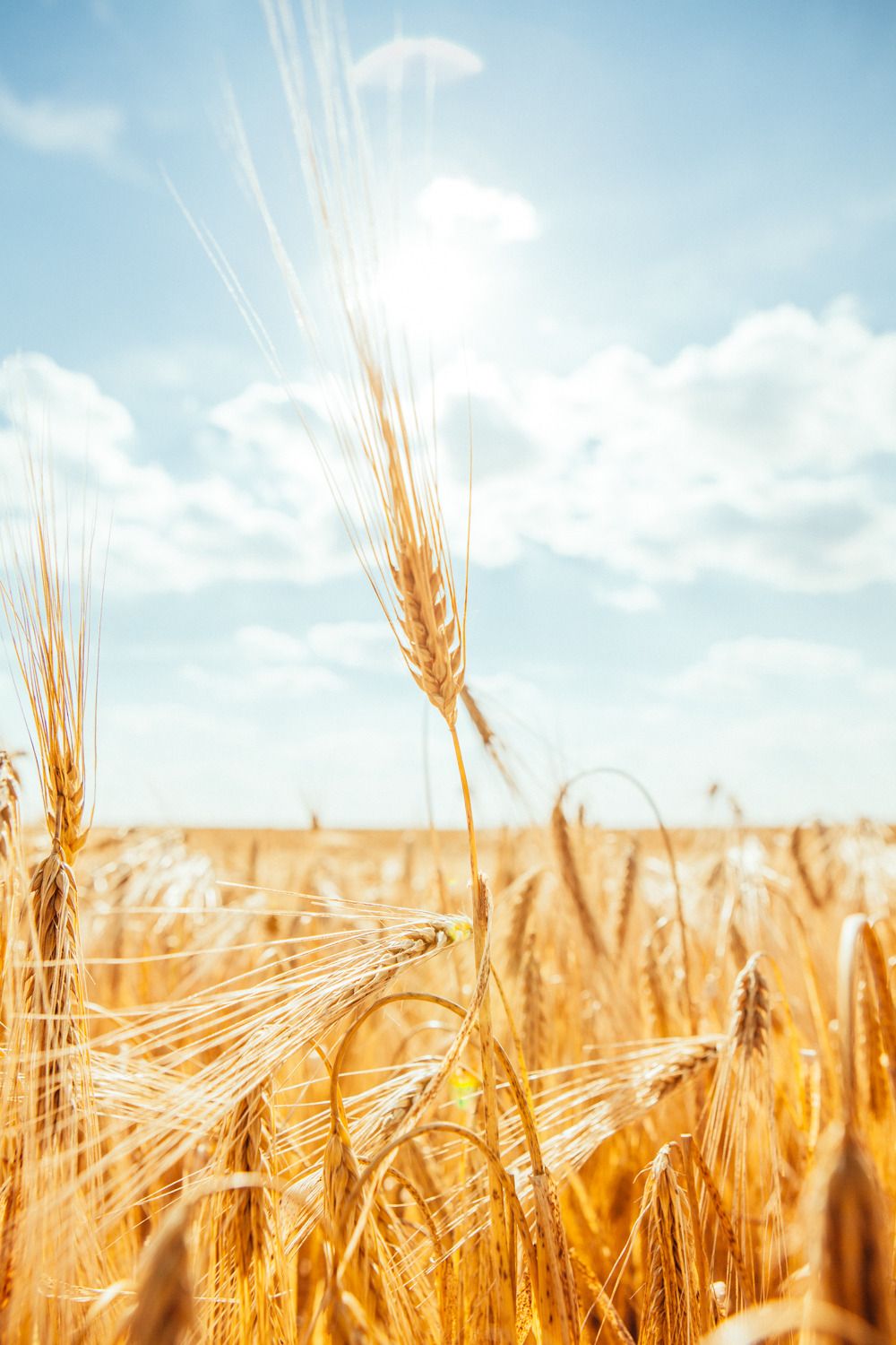 Привітати з Днем захисника України українською мовою