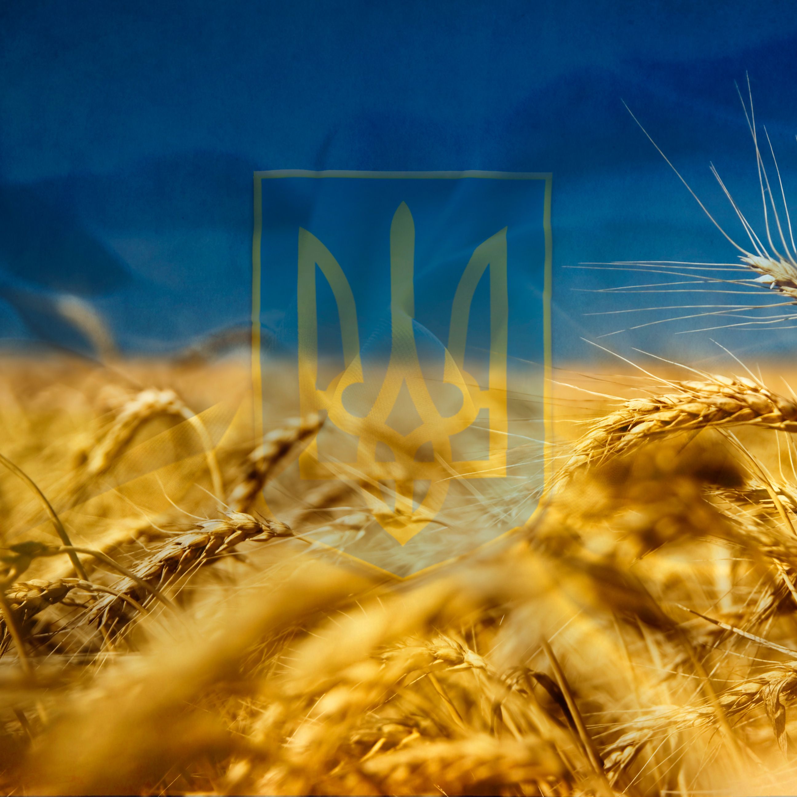 Привітати з Днем захисника Вітчизни у прозі