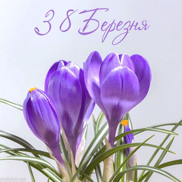 Привітати з 8 Березня українською мовою
