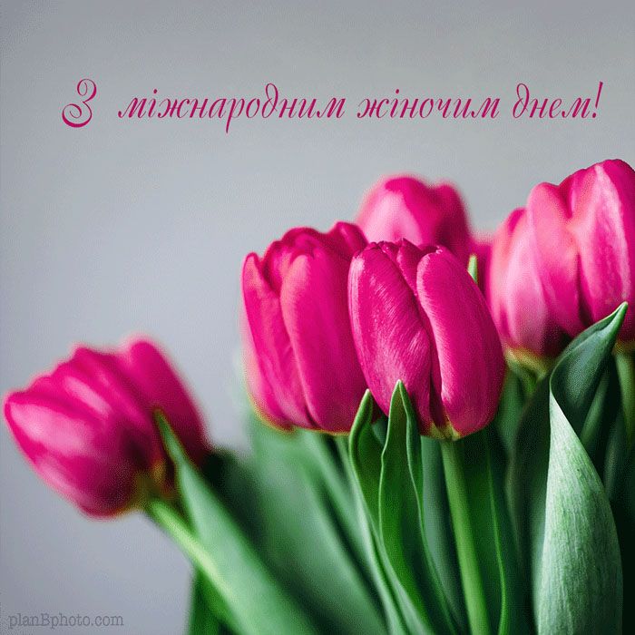 Привітати з 8 Березня українською мовою
