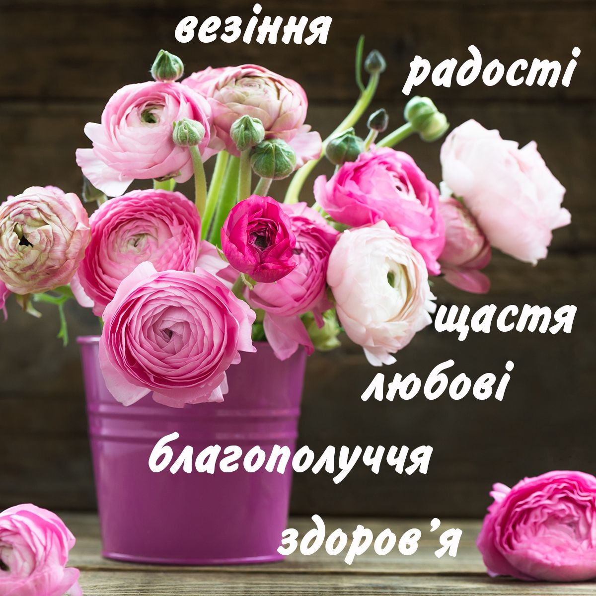 Привітання з народженням онучки своїми словами
